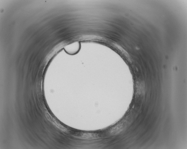 X0000086071322200704202116