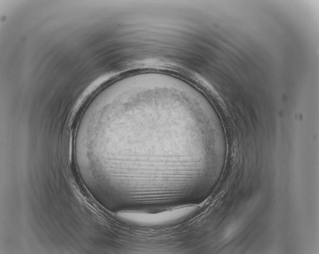 X0000086071323200704202116