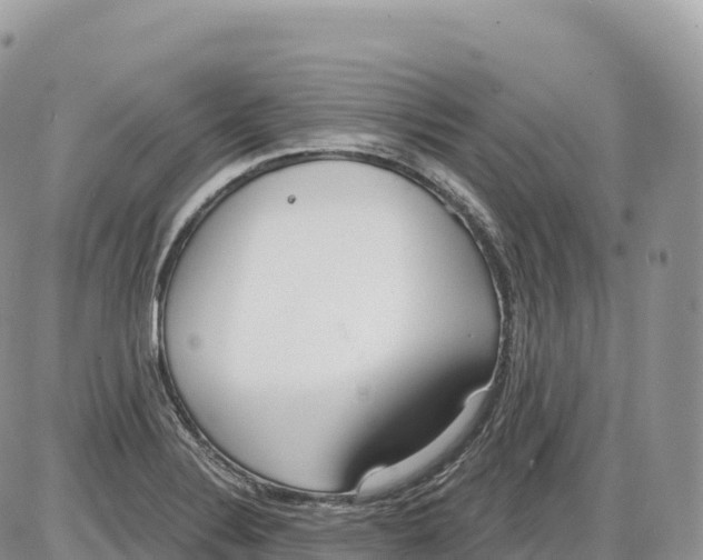 X0000086071324200704202116