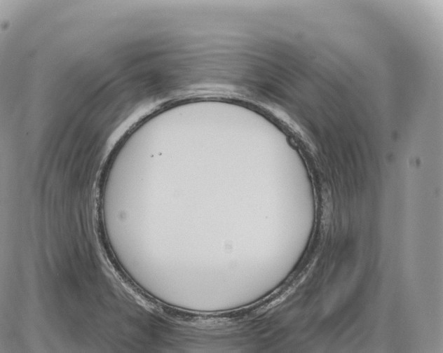 X0000086071325200704202116