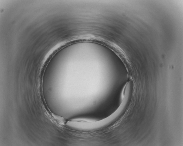 X0000086071326200704202116