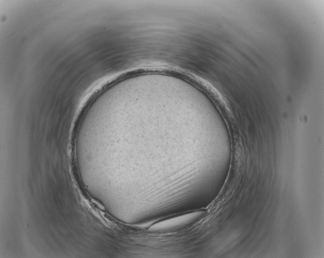 X0000086071327200704202116