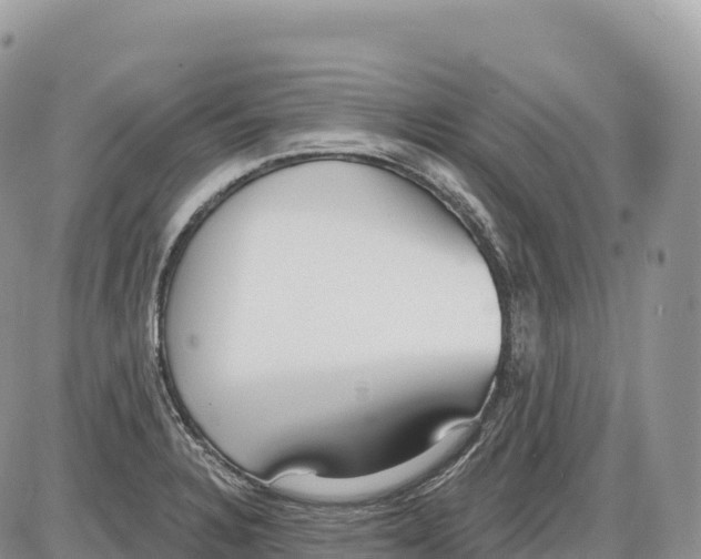 X0000086071328200704202116