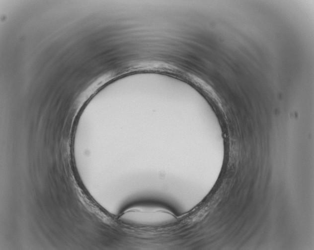 X0000086071330200704202116