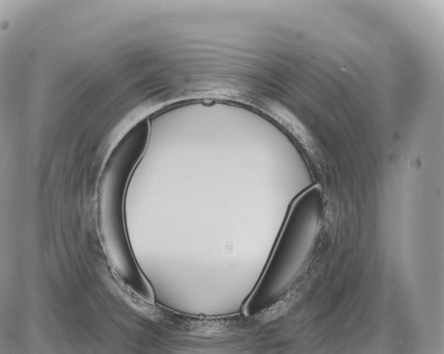 X0000086071332200704202117