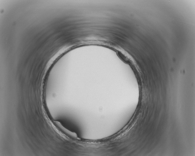 X0000086071333200704202117