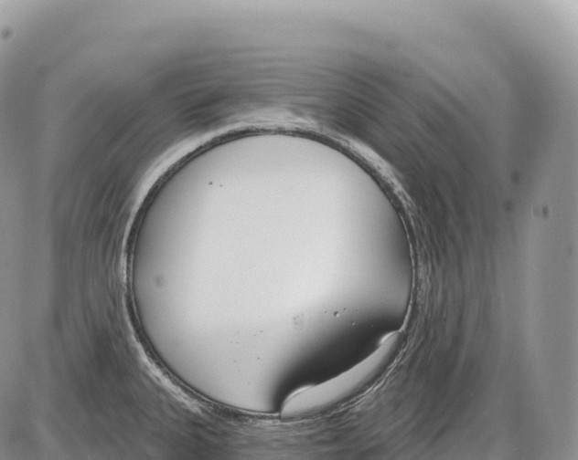 X0000086071335200704202117