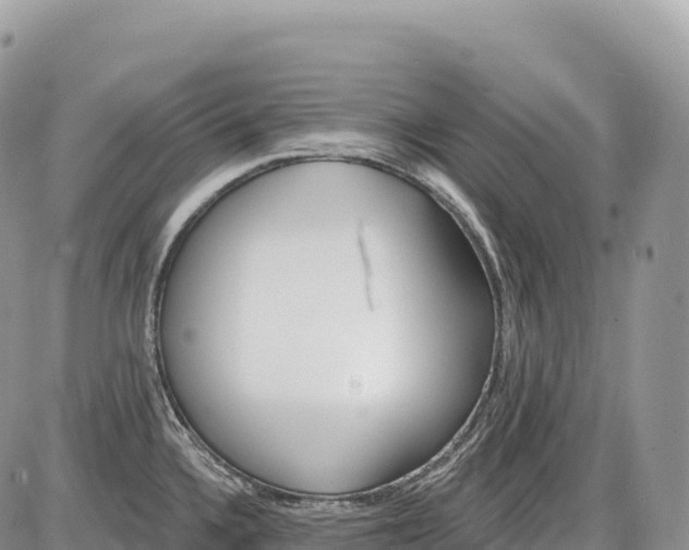 X0000086071336200704202117