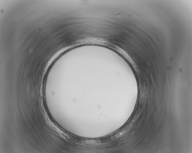 X0000086071339200704202117