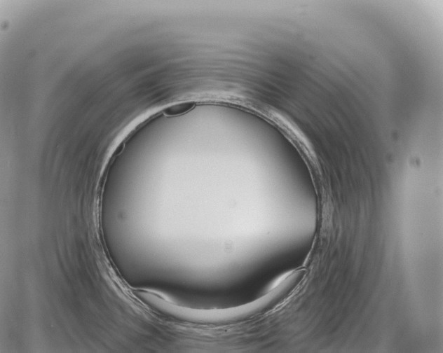 X0000086071340200704202117