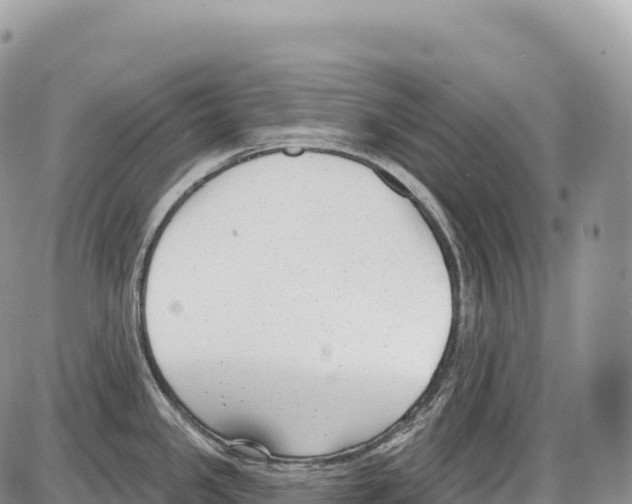 X0000086071341200704202117