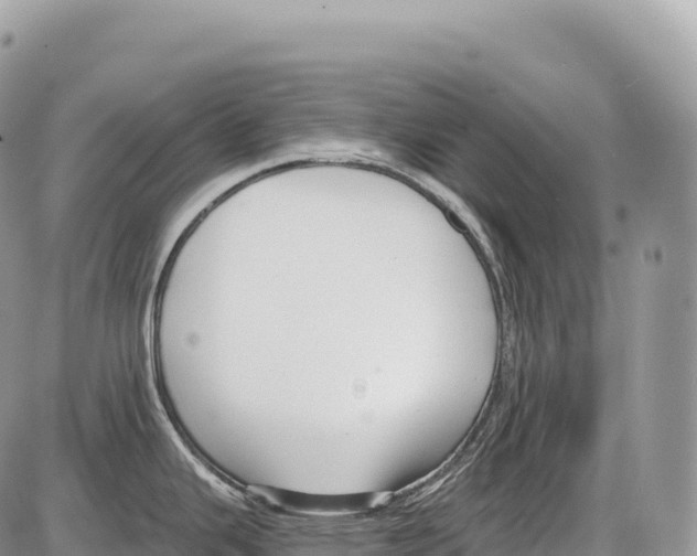 X0000086071343200704202117