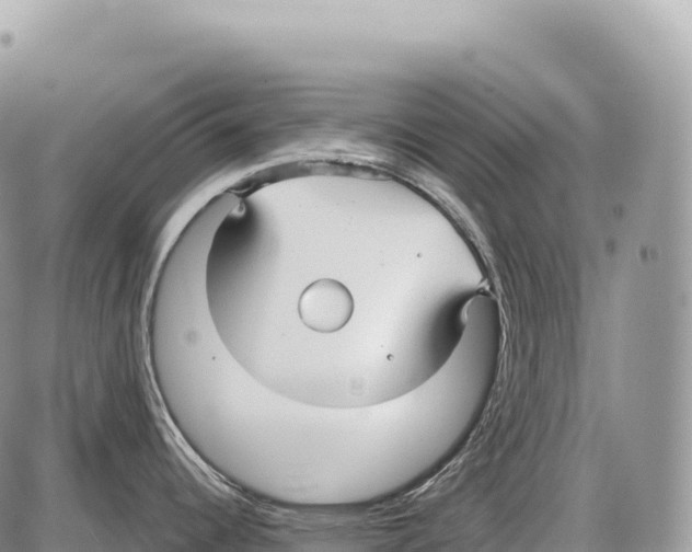 X0000086071344200704202117