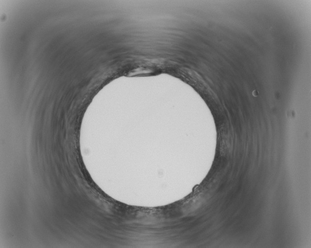 X0000086071345200704202116