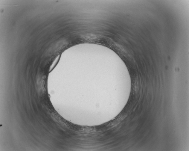 X0000086071346200704202116