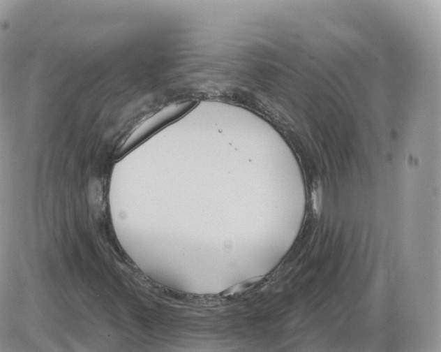 X0000086071347200704202116