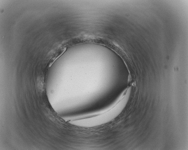 X0000086071348200704202116