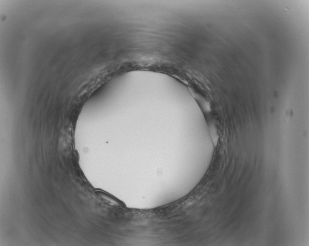 X0000086071349200704202116