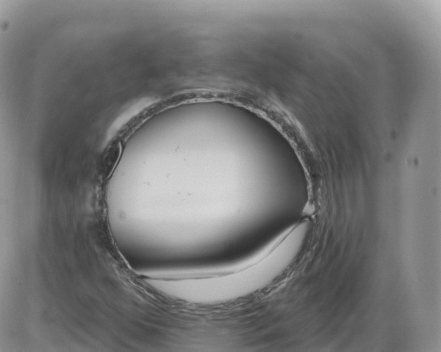 X0000086071352200704202116