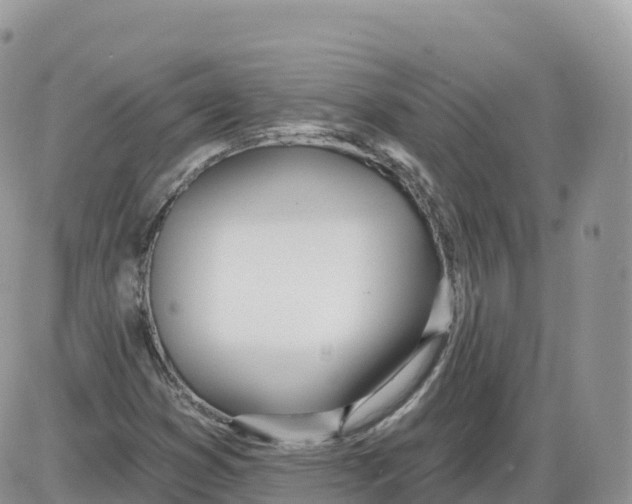 X0000086071353200704202116