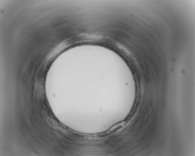 X0000086071354200704202116