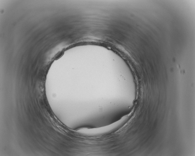 X0000086071355200704202116