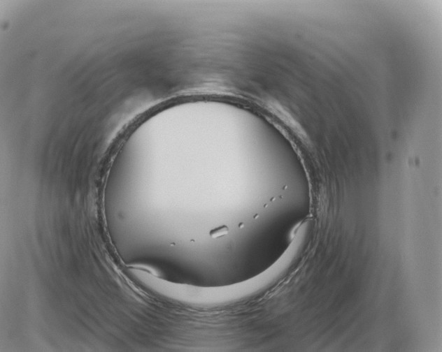 X0000086071356200704202116