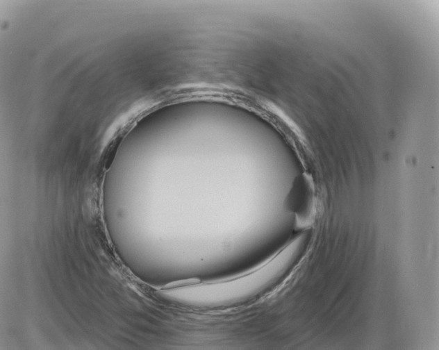 X0000086071357200704202116