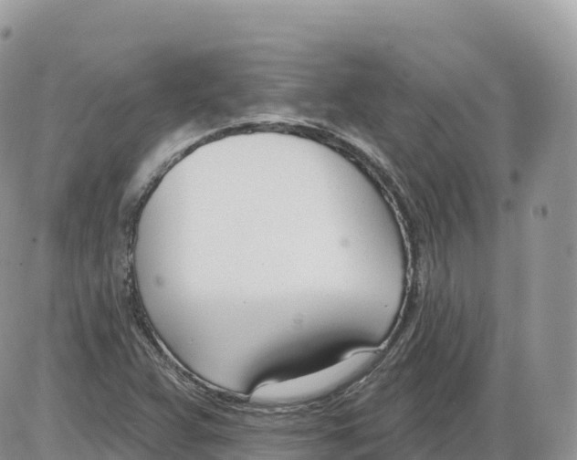 X0000086071359200704202116