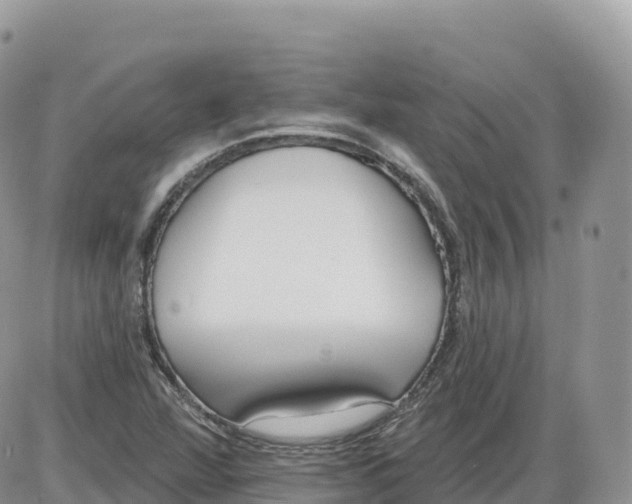 X0000086071360200704202116