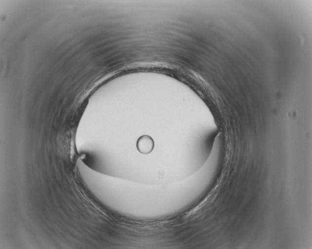 X0000086071361200704202116