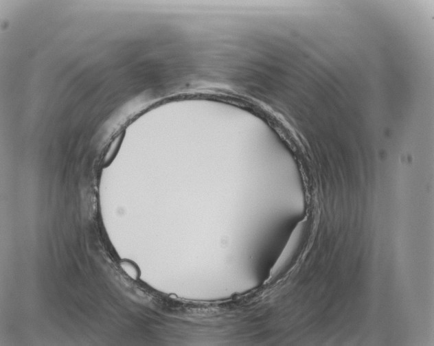 X0000086071363200704202116