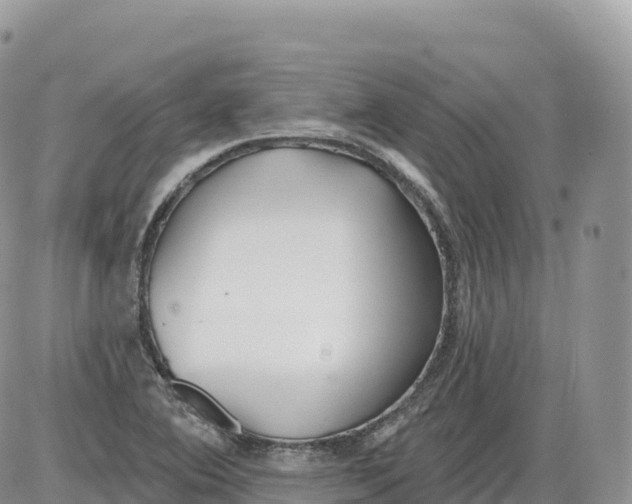 X0000086071364200704202116