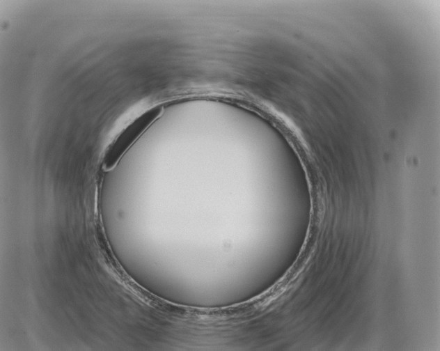 X0000086071365200704202116