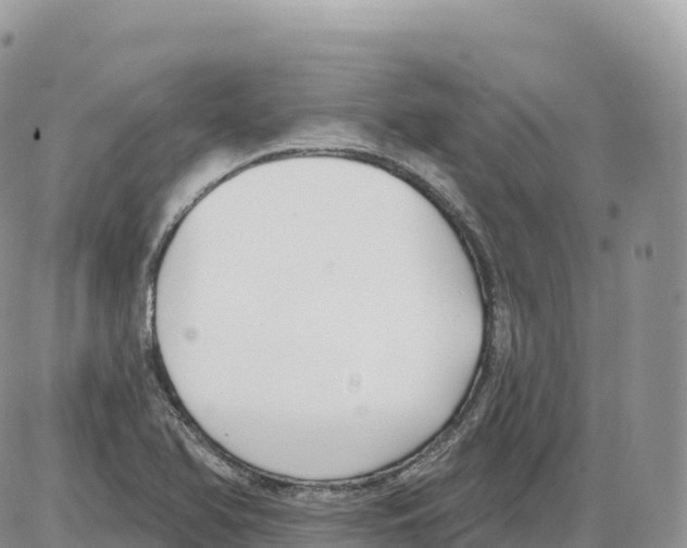 X0000086071366200704202116