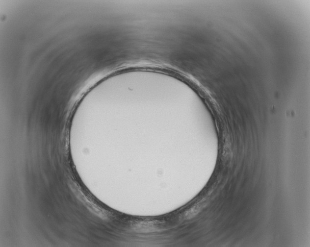 X0000086071367200704202116