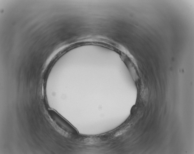 X0000086071368200704202116