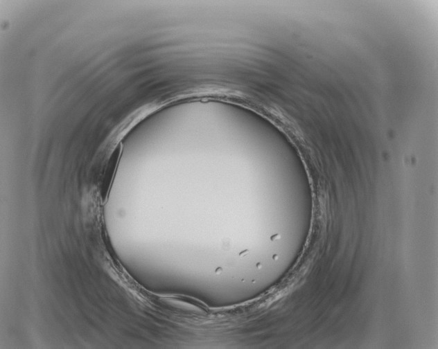 X0000086071369200704202116