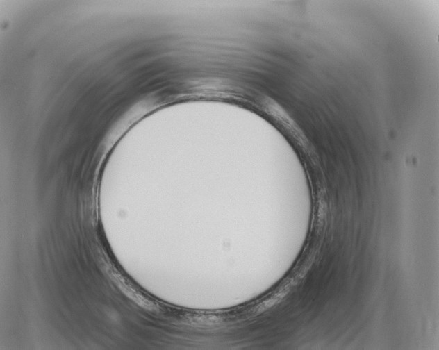 X0000086071370200704202116