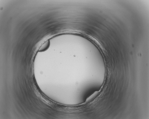 X0000086071371200704202116