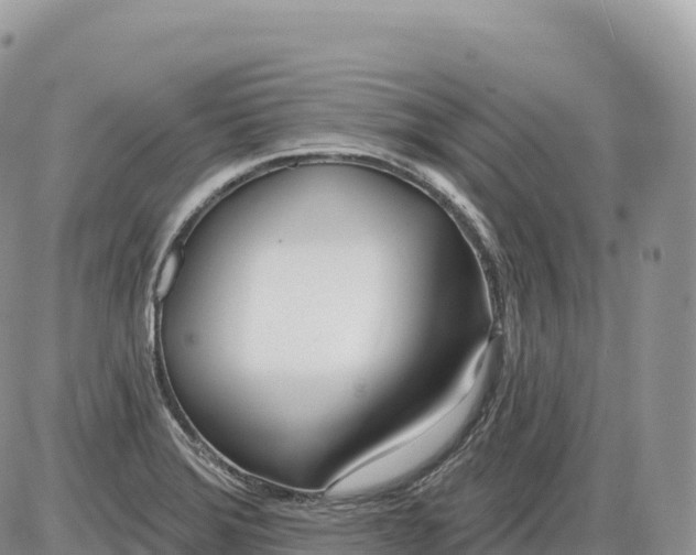 X0000086071372200704202116