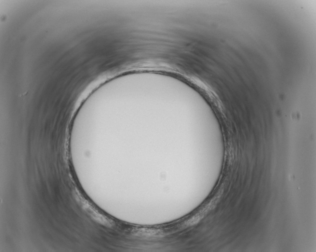 X0000086071374200704202115