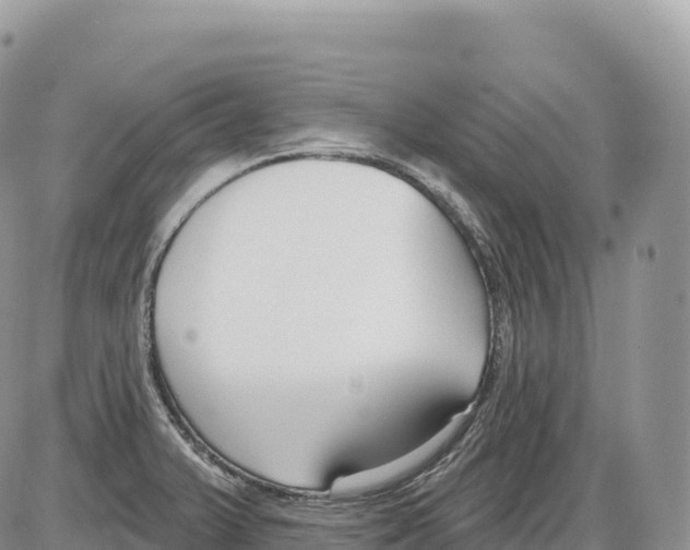 X0000086071375200704202115