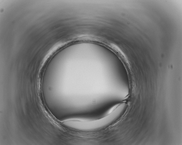 X0000086071376200704202115