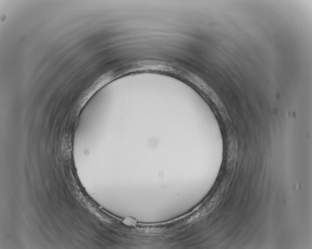 X0000086071377200704202115