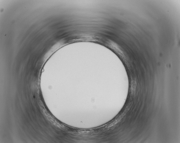 X0000086071378200704202115