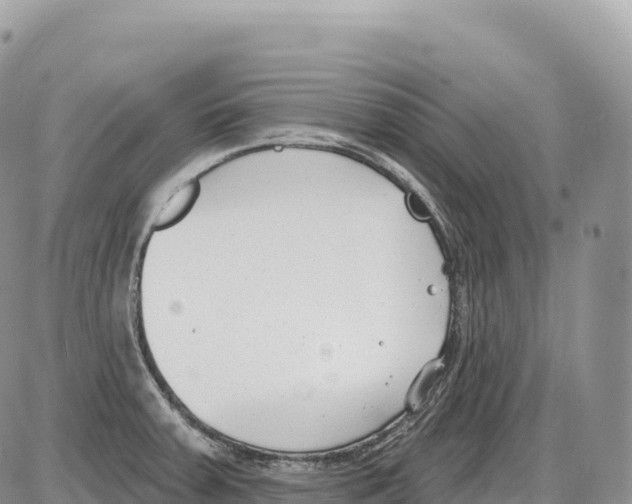 X0000086071379200704202115