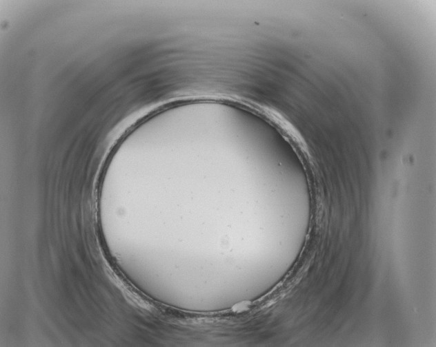 X0000086071380200704202115