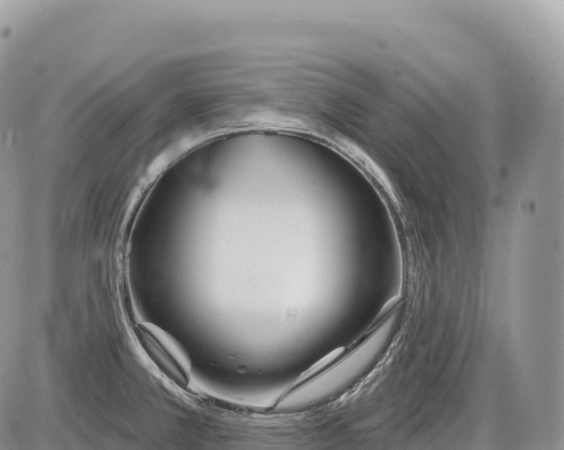 X0000086071381200704202115