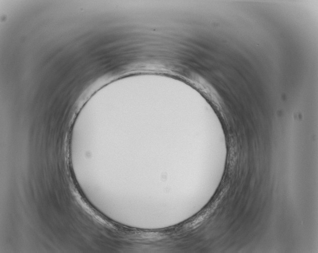 X0000086071382200704202115